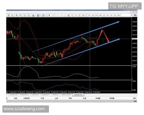 新西兰与秘鲁精彩对决视频直播全程回顾与分析