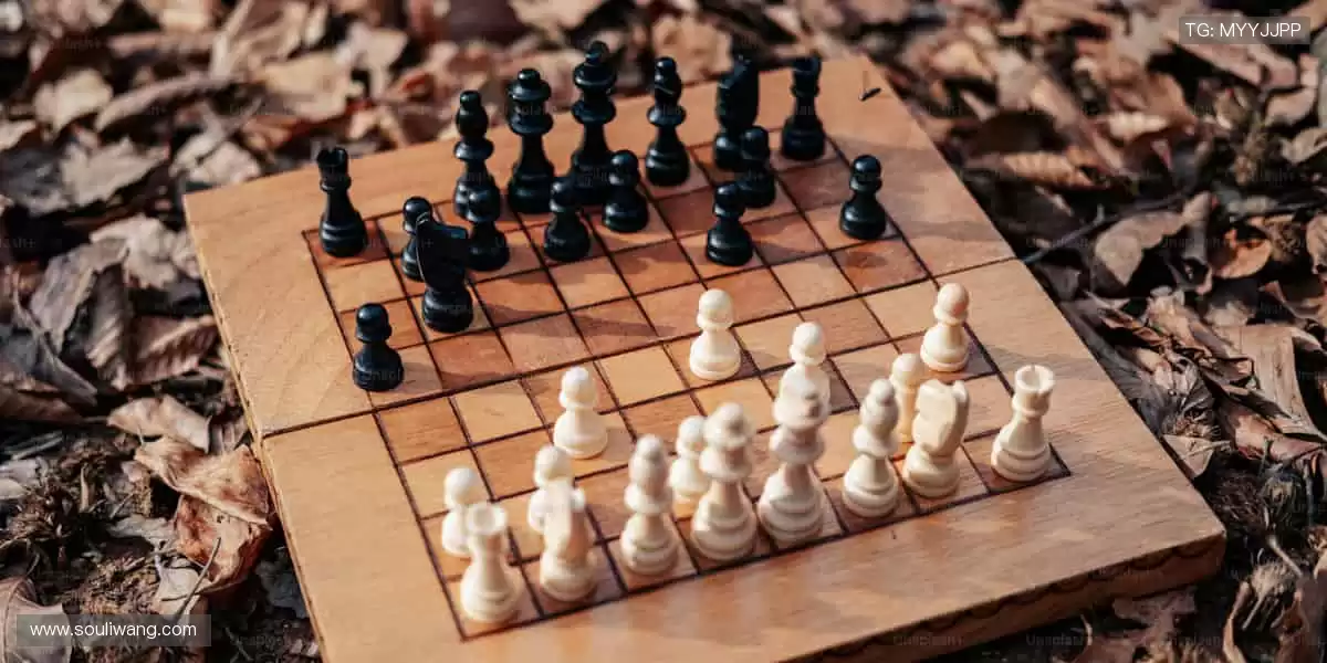 🚀 赛事狂欢，点燃全民运动热情！